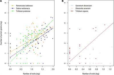 Using Metabarcoding to Investigate the Strength of Plant-Pollinator Interactions From Surveys of Visits to DNA Sequences